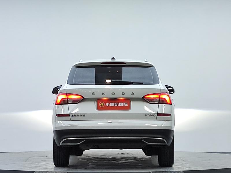 Skoda Kamiq, 2023 — фото 6 из 12