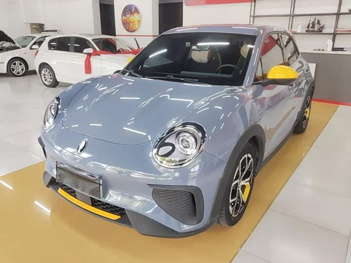 Ora Good Cat GT (03 GT), 2024 — купить в Санкт-Петербурге под ключ