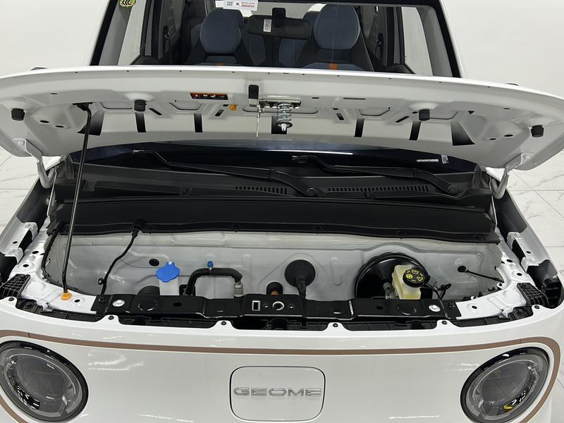 Geely Galaxy Panda Mini, 2026 — фото 12 из 12