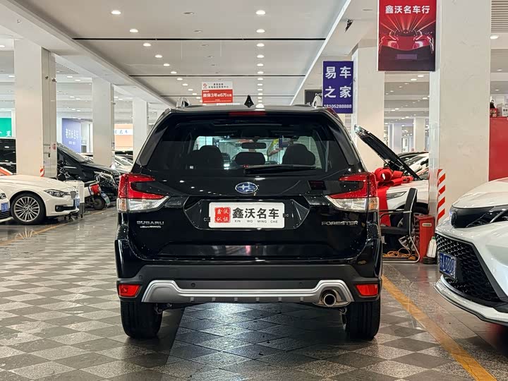 Subaru Forester, 2023 — фото 4 из 9