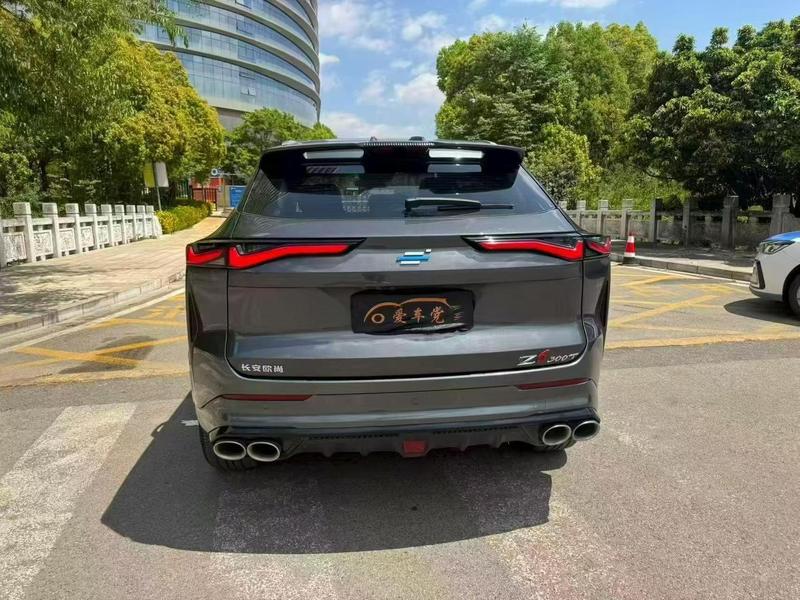 Changan Oshan Z6, 2023 — фото 5 из 11