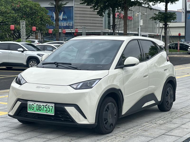 BYD Seagull, 2023 — купить в Костроме под ключ