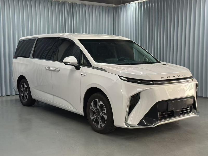 Maxus Mifa 9, 2023 — фото 3 из 9
