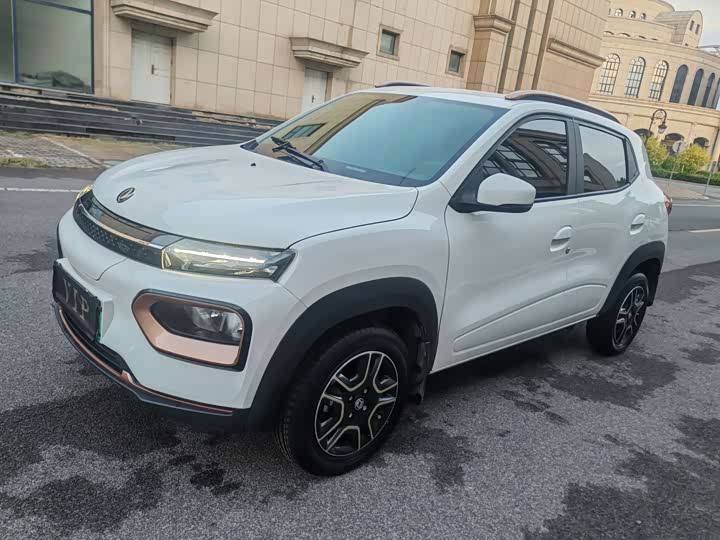 Dongfeng Yipai Nano EX1, 2023 — фото 8 из 9