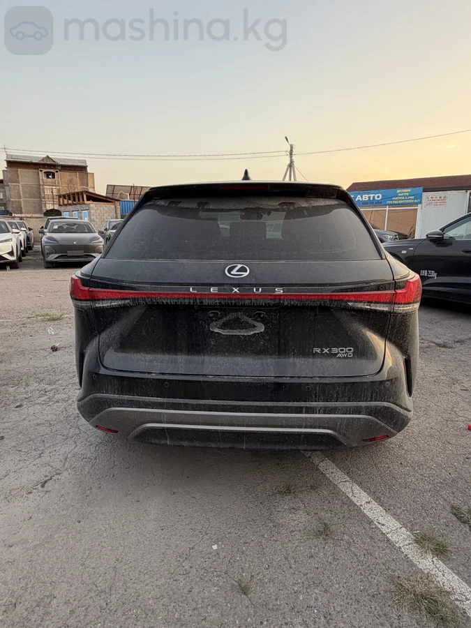 Lexus RX, 2025 — фото 4 из 12