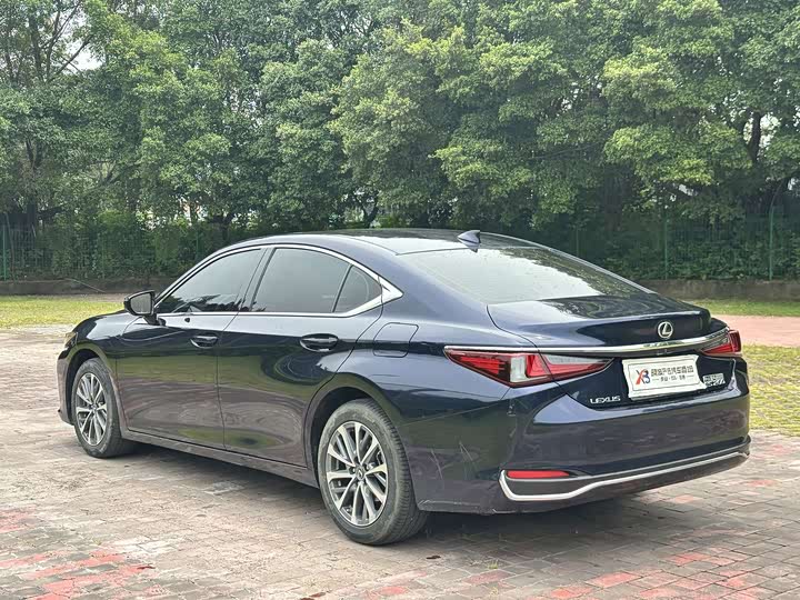 Lexus ES, 2023 — фото 8 из 9