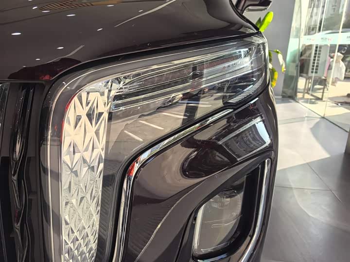 Hongqi HQ9 Hybrid, 2024 — фото 7 из 12