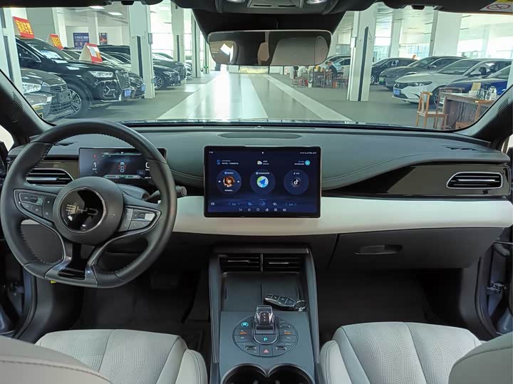 BYD Seal 06 Hybrid/EV, 2025 — фото 6 из 9