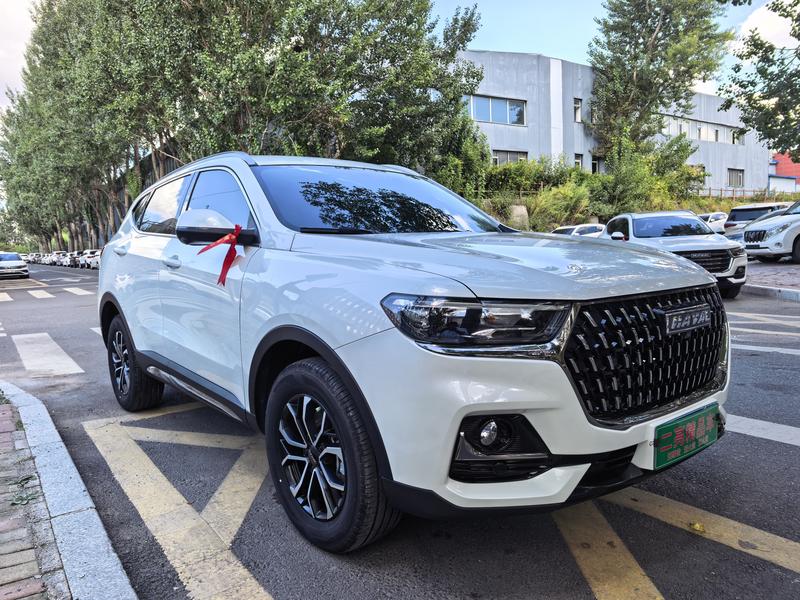 Haval H6, 2023 — фото 3 из 9