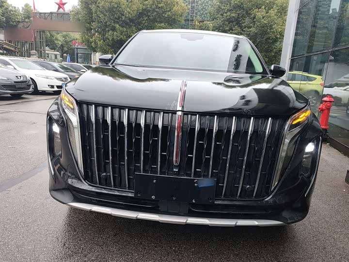 Hongqi HS7, 2025 — фото 3 из 9
