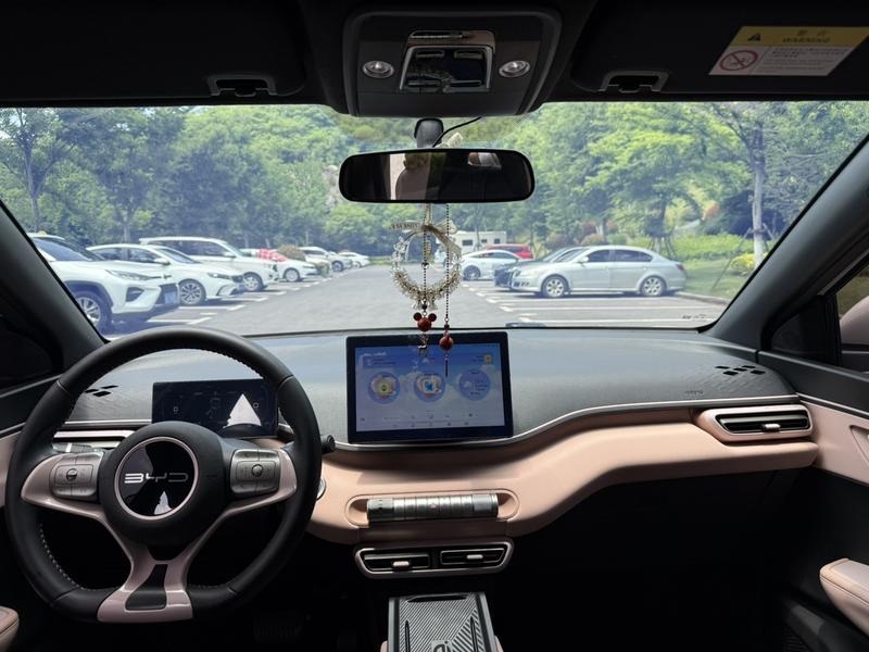 BYD Seagull, 2023 — фото 7 из 10