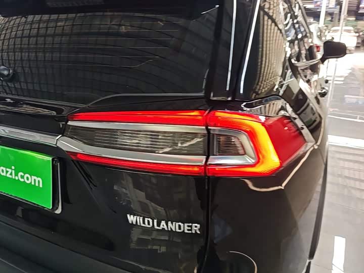 Toyota Wildlander, 2024 — фото 8 из 9