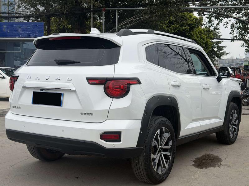 Haval H-Dog, 2023 — фото 5 из 10