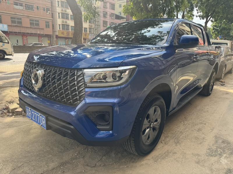 Great Wall Pao, 2024 — купить в Санкт-Петербурге под ключ