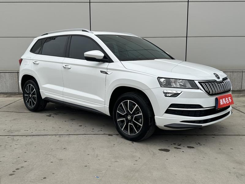 Skoda Karoq, 2024 — фото 3 из 11