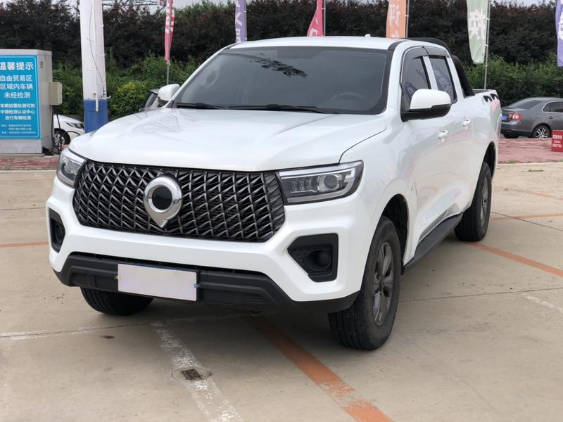 Great Wall Pao, 2023 — купить в Санкт-Петербурге под ключ