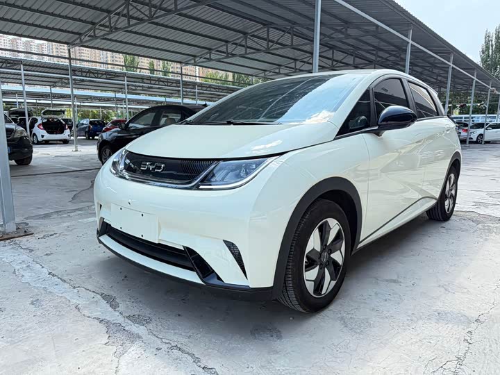 BYD Dolphin, 2025 — купить в Белгороде под ключ