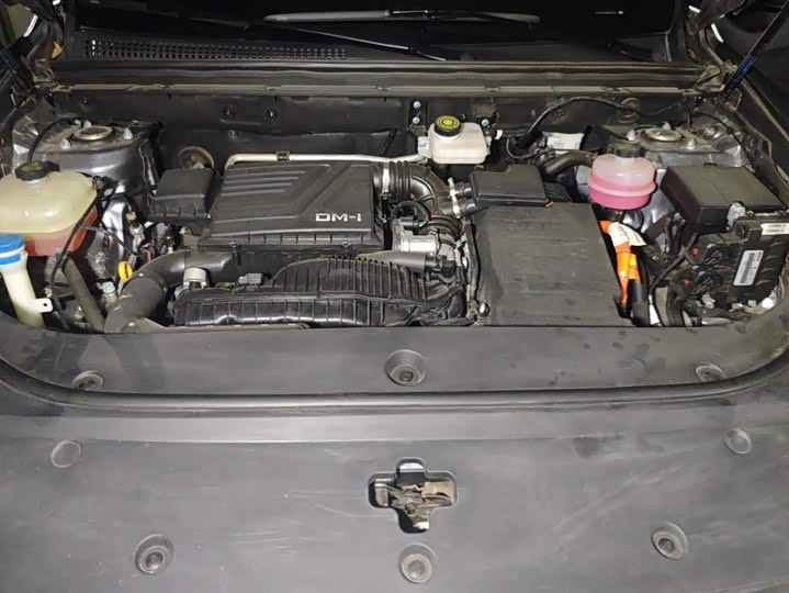 BYD Song Pro Hybrid, 2022 — фото 9 из 9