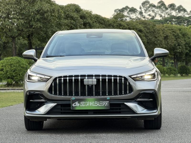 Geely Galaxy Starshine 6, 2025 — фото 2 из 12
