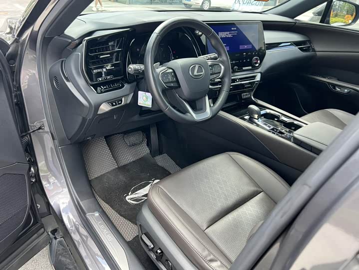 Lexus RX Hybrid, 2023 — фото 7 из 9
