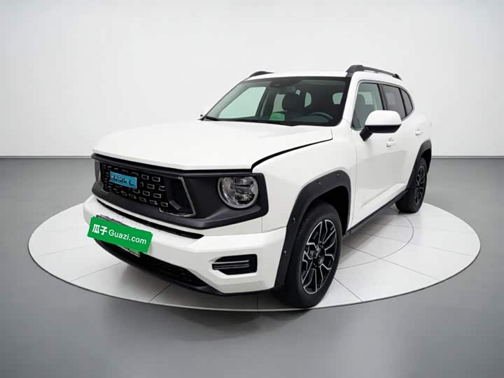 Haval H-Dog Hybrid, 2023 — купить в Рязани под ключ
