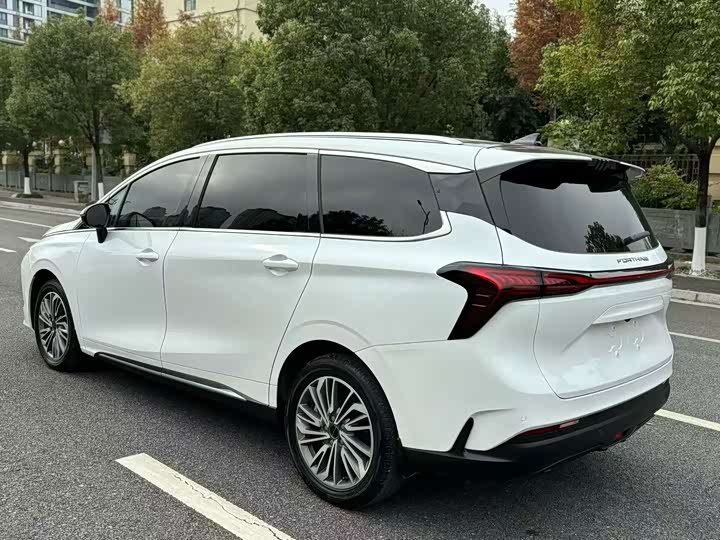 Dongfeng Forthing Yacht, 2022 — фото 9 из 9