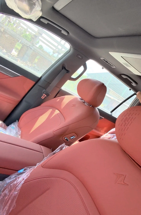 Dongfeng EP 008, 2025 — фото 4 из 6