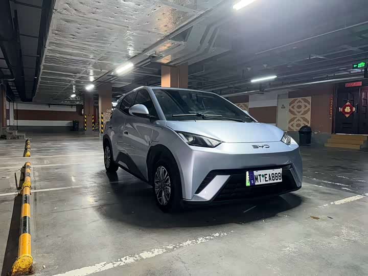 BYD Seagull, 2024 — купить в Иванове под ключ