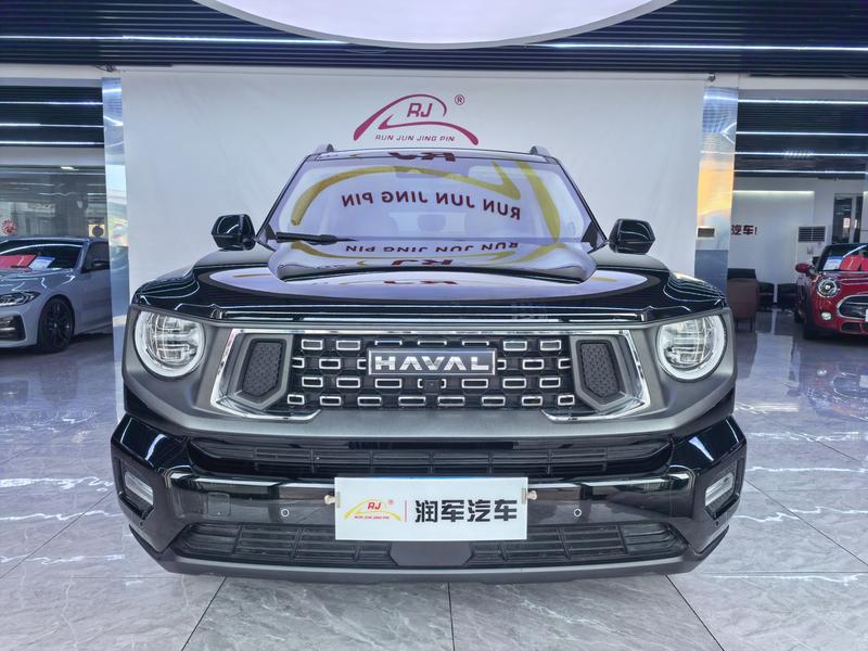 Haval H-Dog, 2023 — фото 2 из 12