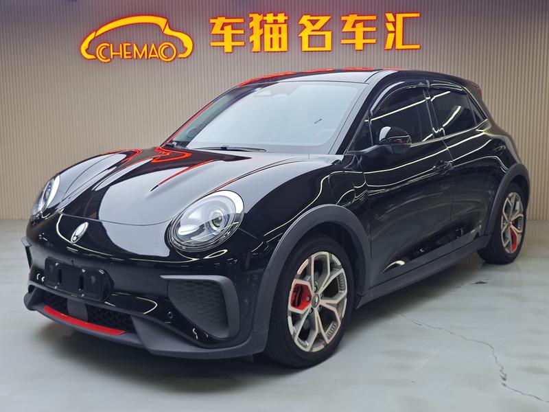Ora Good Cat GT (03 GT), 2021 — купить в Санкт-Петербурге под ключ