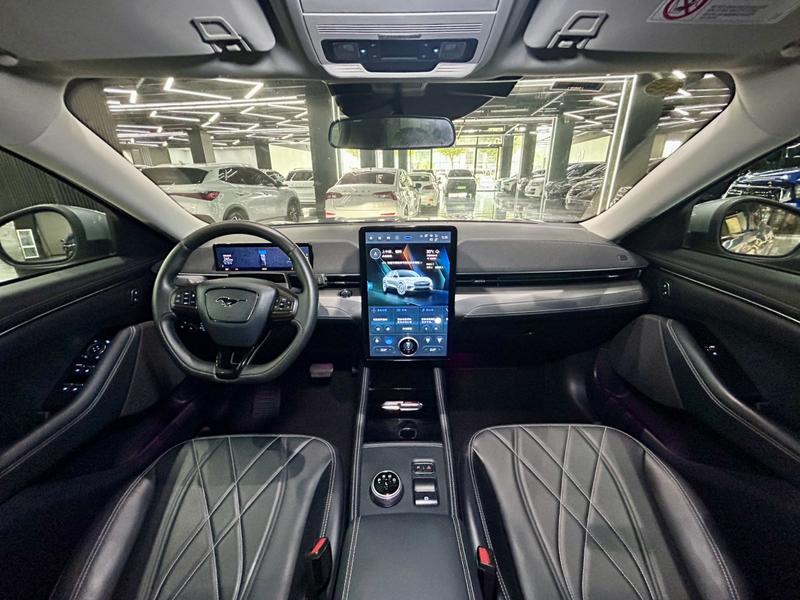 Ford Mustang Mach-E, 2022 — фото 11 из 12