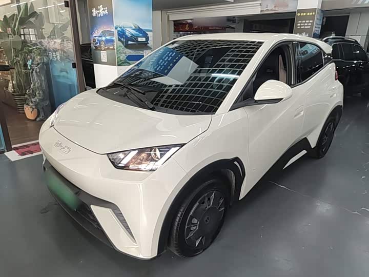 BYD Seagull, 2025 — купить в Санкт-Петербурге под ключ