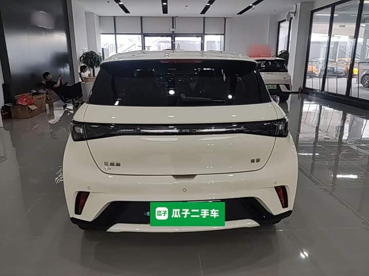 BYD Dolphin, 2026 — фото 6 из 9