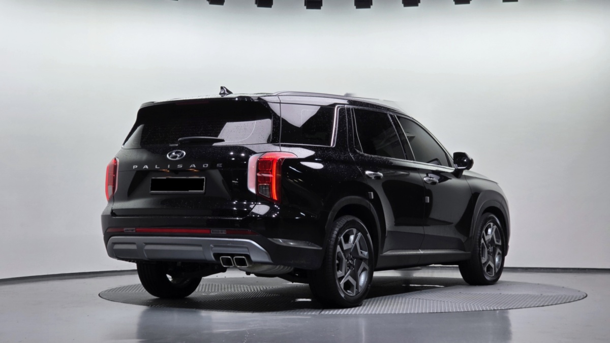 Hyundai Palisade, 2024 — фото 2 из 12