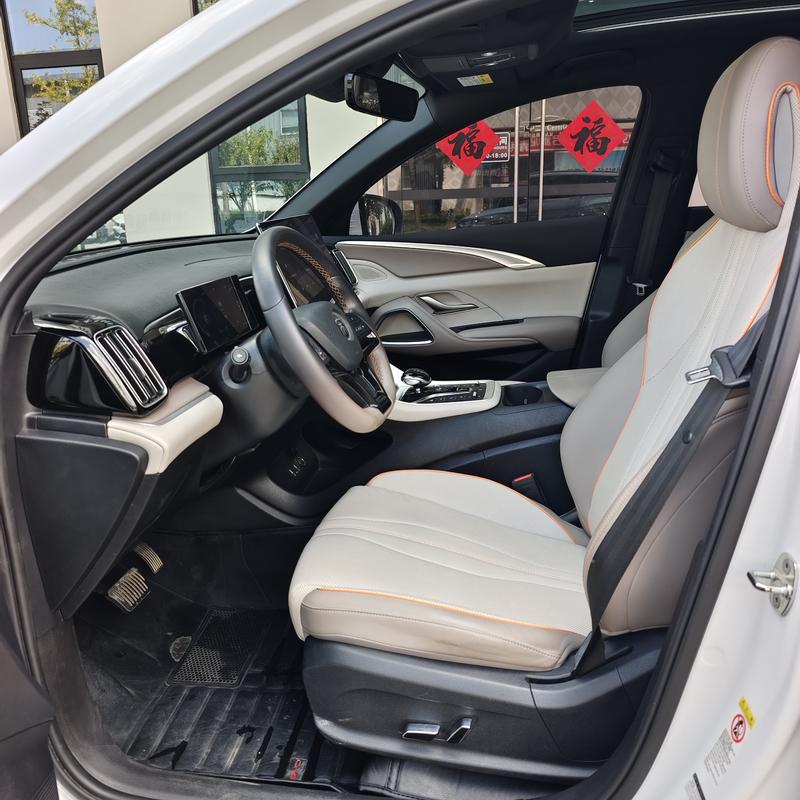 BYD Song Pro Hybrid, 2023 — фото 11 из 12
