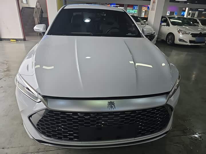 BYD Qin Plus, 2024 — фото 3 из 9