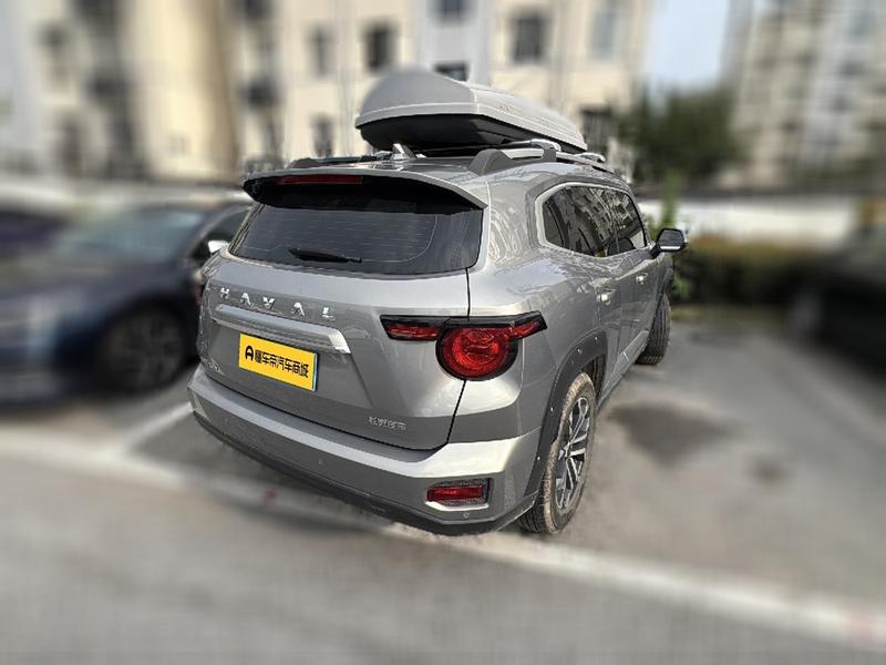 Haval H-Dog, 2023 — фото 4 из 12