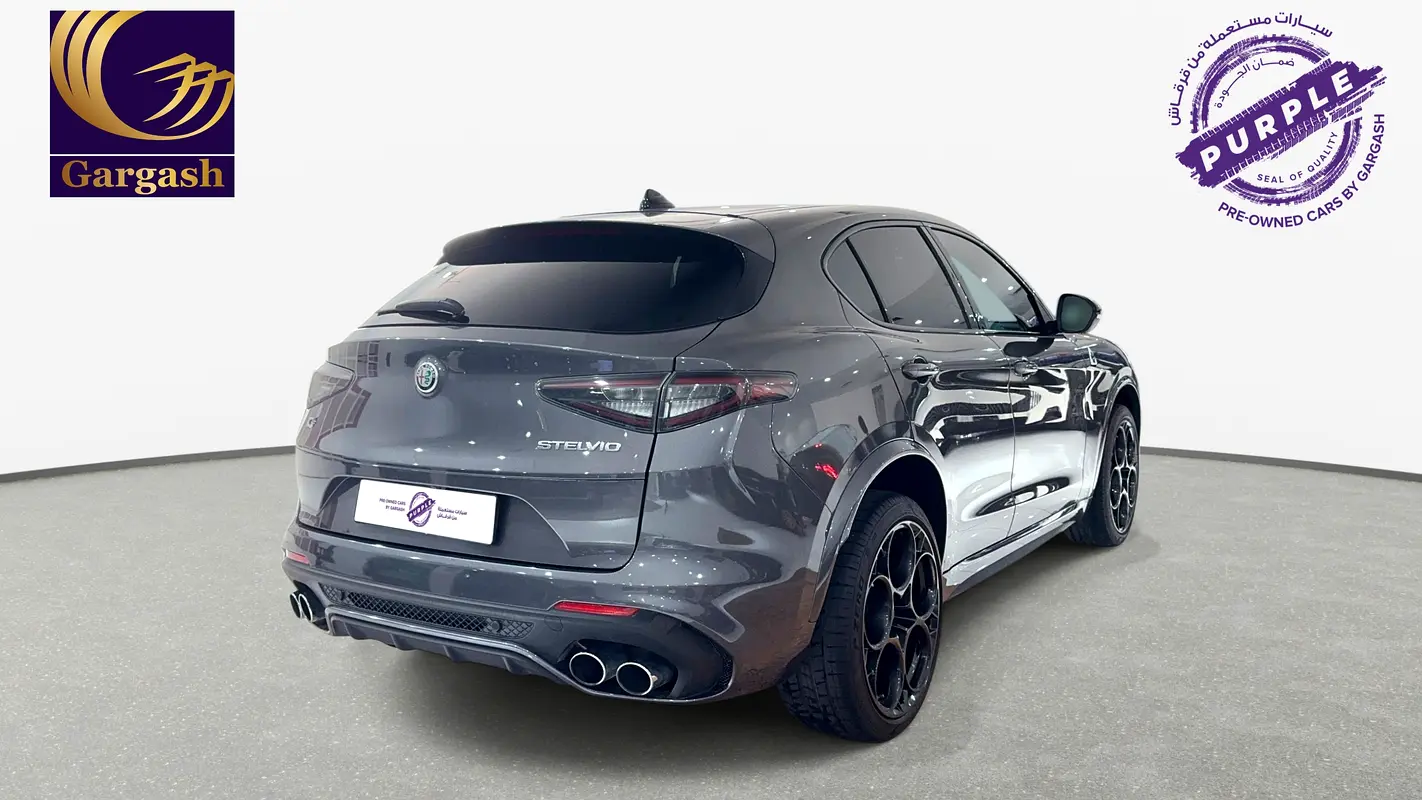 Alfa Romeo Stelvio, 2023 — фото 7 из 10