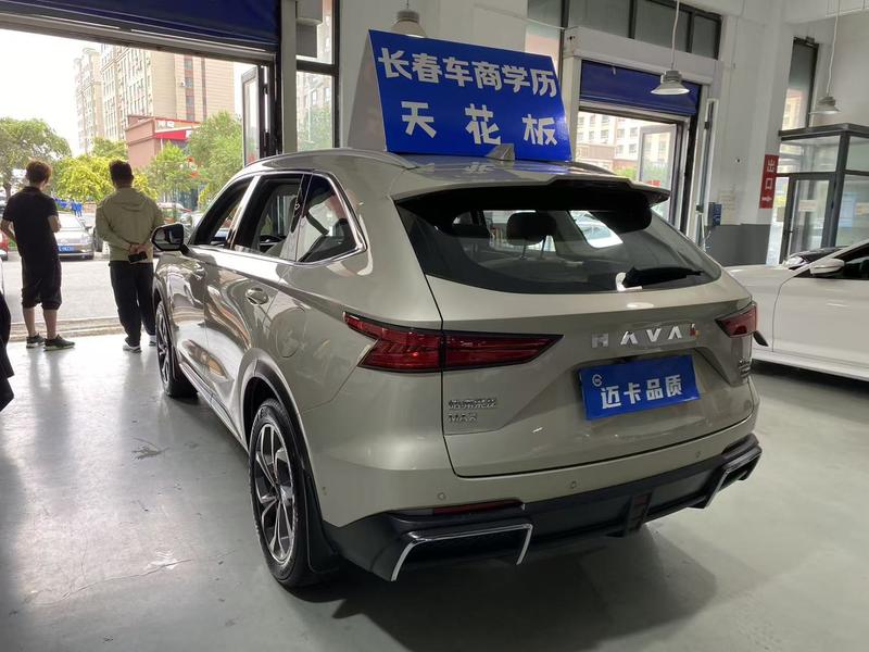 Haval Ruge Max, 2024 — фото 4 из 12