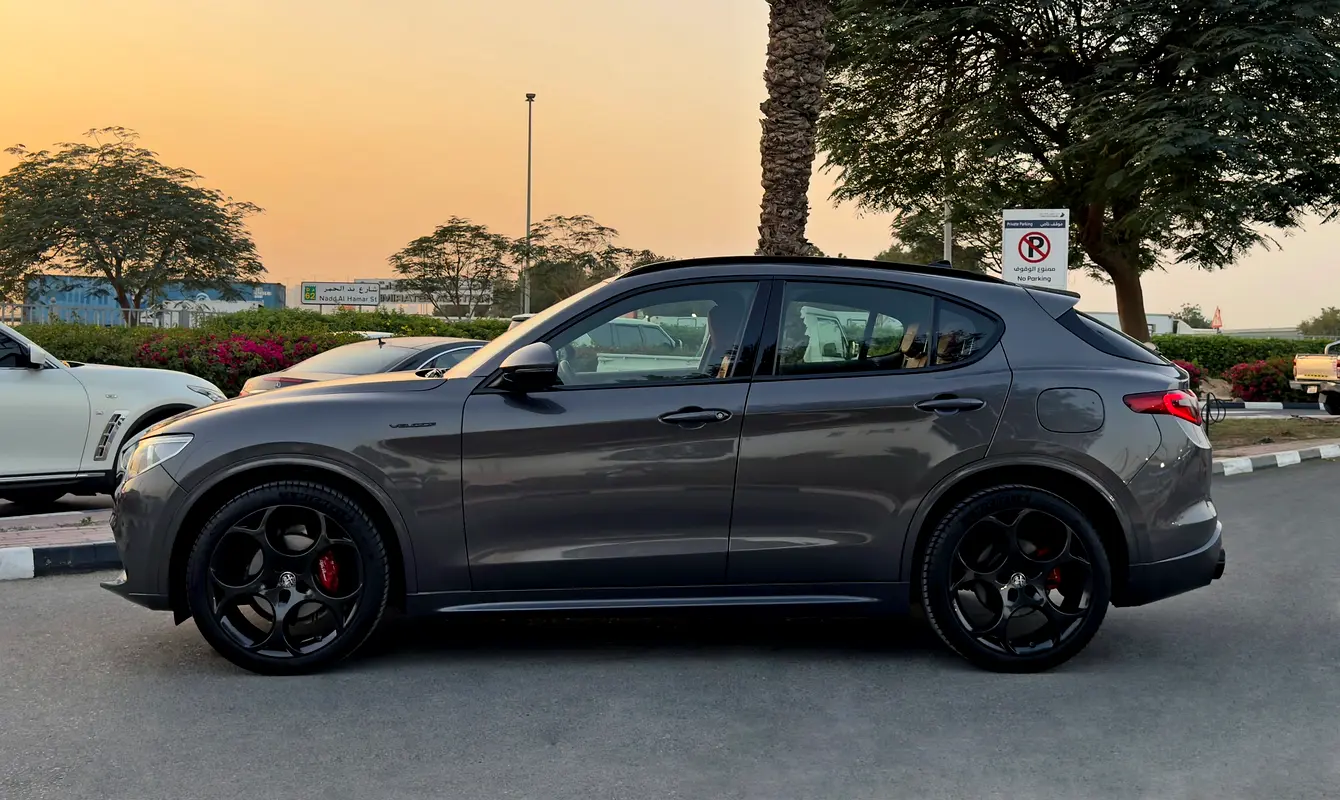 Alfa Romeo Stelvio, 2022 — фото 4 из 10