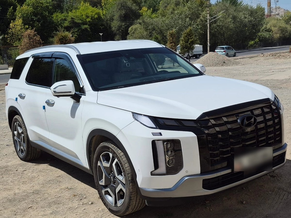 Hyundai Palisade, 2024 — фото 8 из 12