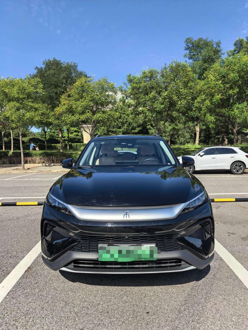 BYD Song Pro Hybrid, 2024 — фото 2 из 12