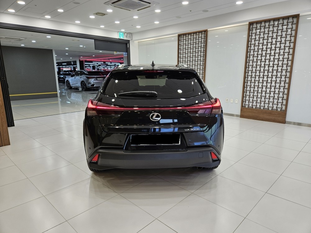 Lexus UX, 2025 — фото 4 из 12