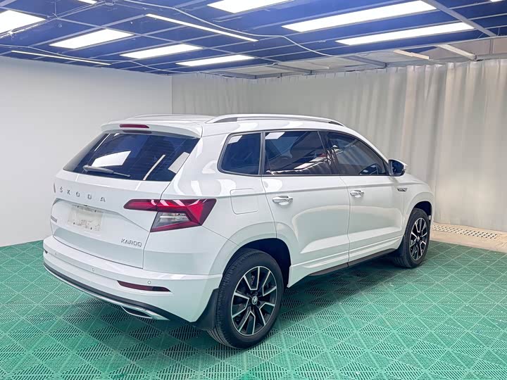 Skoda Karoq, 2023 — фото 6 из 9