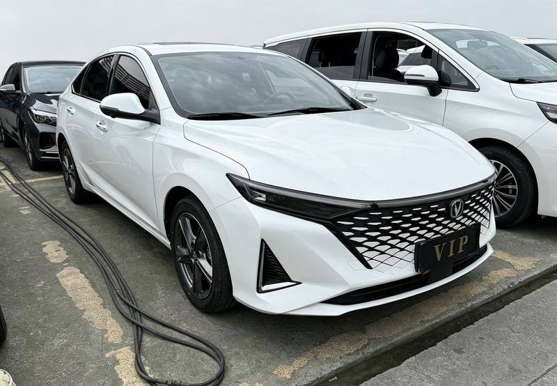 Changan Raeton Plus, 2023 — фото 3 из 11