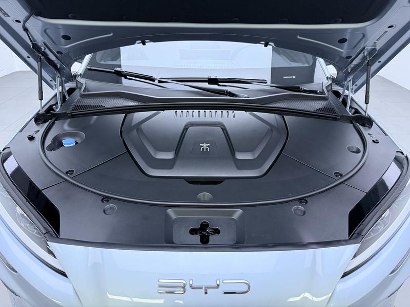 BYD Song Plus Hybrid/EV, 2024 — фото 12 из 12