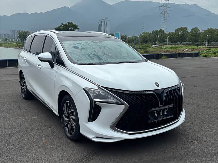 Dongfeng Forthing Yacht, 2023 — фото 3 из 9
