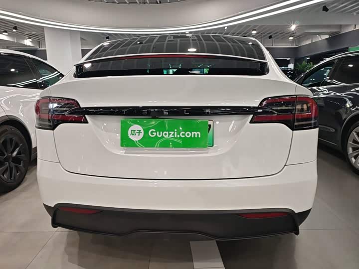 Tesla Model X, 2023 — фото 6 из 9