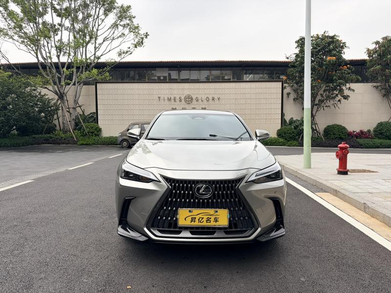 Lexus NX, 2022 — фото 2 из 12