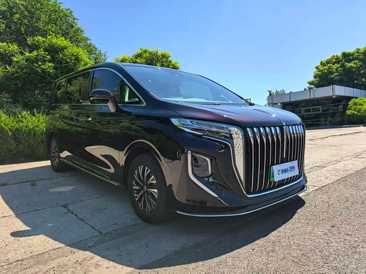 Hongqi HQ9 Hybrid, 2024 — фото 7 из 9